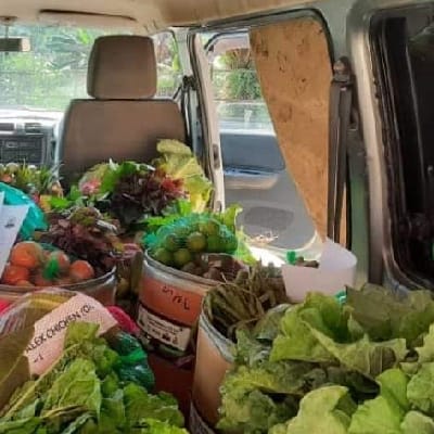 Amicus Food Delivery